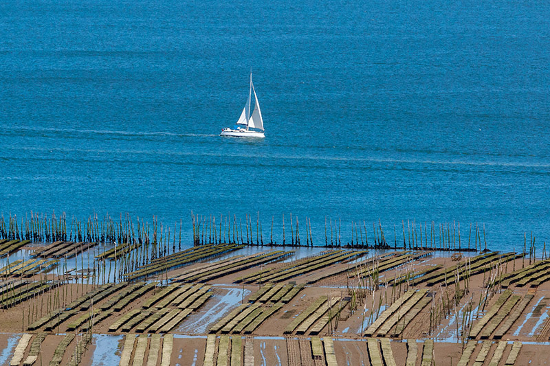 excursion catamaran arcachon location de bateau au cap ferret bateau 224 moteur excursion catamaran arcachon location de bateau au cap ferret bateau 224 moteur