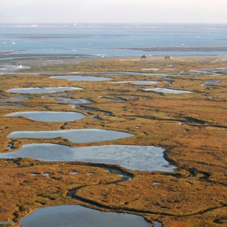 View of the Ile aux Oiseaux situated in the middle of the lagoon.