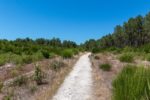 Nature environnante à proximité du Camping Brémontier au Grand Crohot