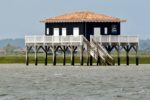 Balade en bateau vers les cabanes tchanquées