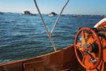 Balade en pinasse vers les cabanes tchanquées du bassin d'Arcachon