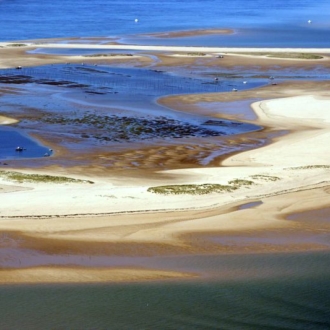 La reserve naturelle du Banc d'Arguin