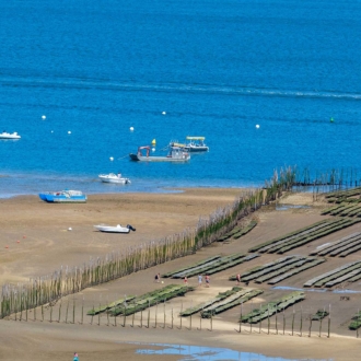 Parc à huitres sur le Bassin d'Arcachon