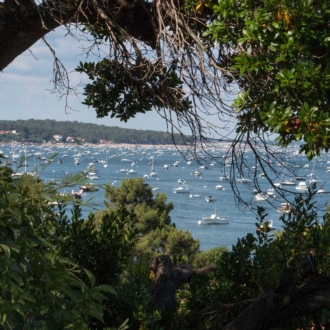 Vue sur le Bassin d'Arcachon depuis le Cap Ferret