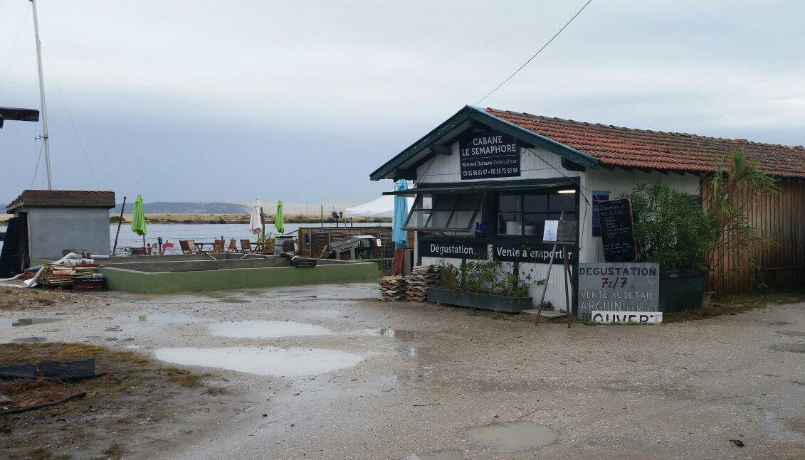 Cabane le Semaphore, dégustation d'huitres face au Mimbeau au Cap Ferret