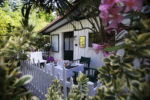 jardin de la chambre d'hotes la cabane pomme de pin au cap ferret