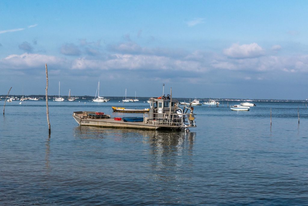 Balade sur chaland au Cap Ferret Embarquez sur une chaland ostréicole