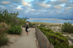 Chemin de la plage de la Pointe du Cap Ferret