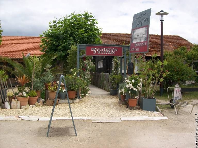 La Lagune : dégustation d'huitres au Cap Ferret