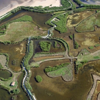 Le delta de la Leyre vue du ciel