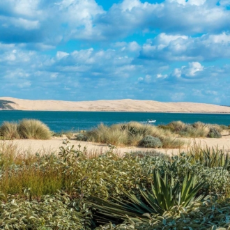 La dune du Pilat vue depuis la pointe du Cap Ferret