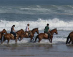 Balade à cheval sur la plage au Cap Ferret