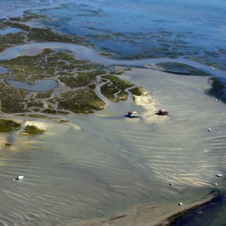 Vue aérienne sur l'ile aux oiseaux au milieu du Bassin d'Arcachon