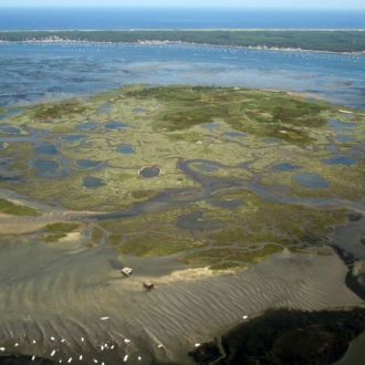 Vue sur l'ile aux oiseaux et le Cap Ferret