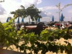 Dégustation d'huitres face au bassin au Chez Nous à Grand Piquey