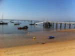 Vue sur le bassin depuis la terrasse du Chai Nous à Lège-Cap Ferret