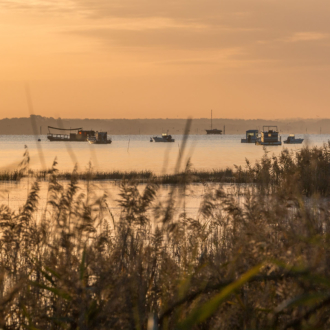 Lumière du matin sur le Bassin d'Arcachon