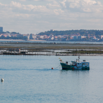 Parcs à huitres du Bassin d'Arcachon