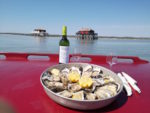 Balade en chaland avec dégustation d'huitres du Cap Ferret