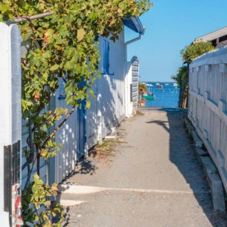 Quartier ostréicole du Canon au Cap Ferret