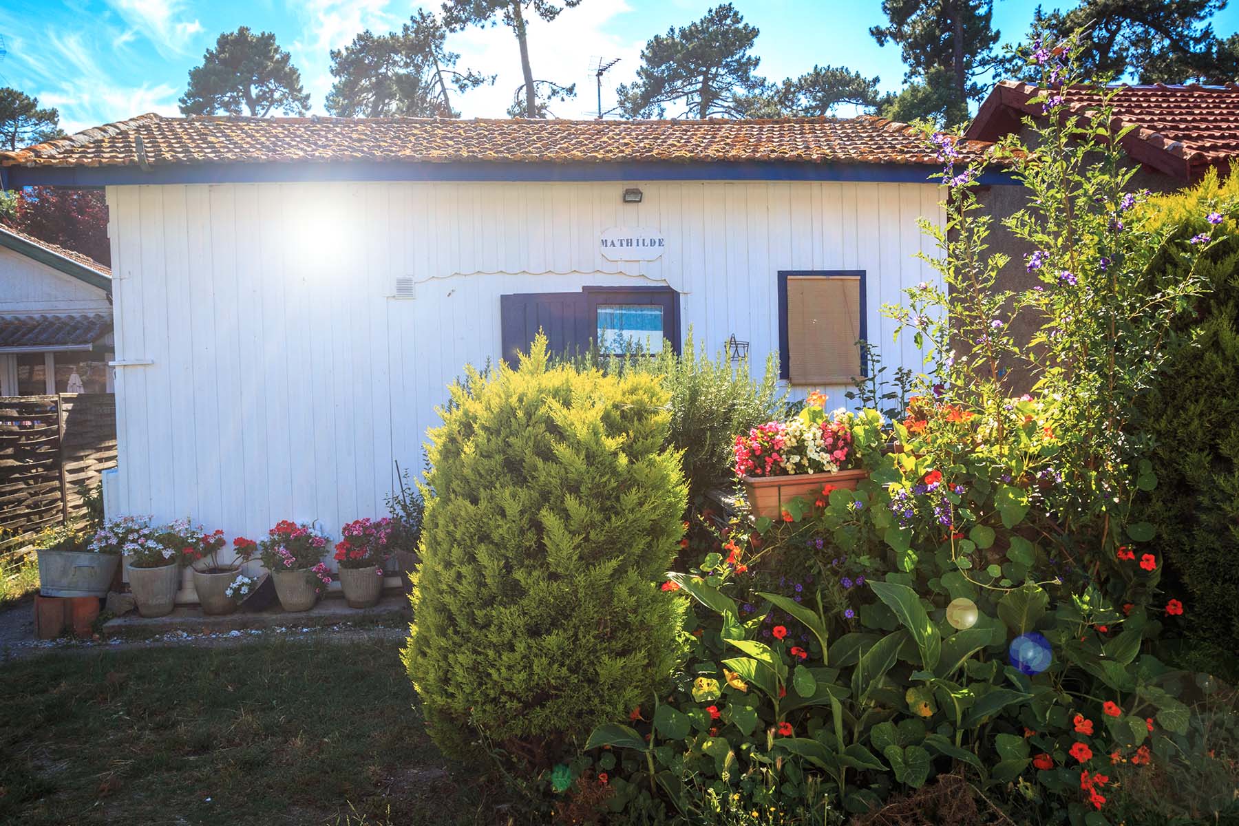 L'Herbe, village du Cap Ferret : infos, plages, activités et commerces