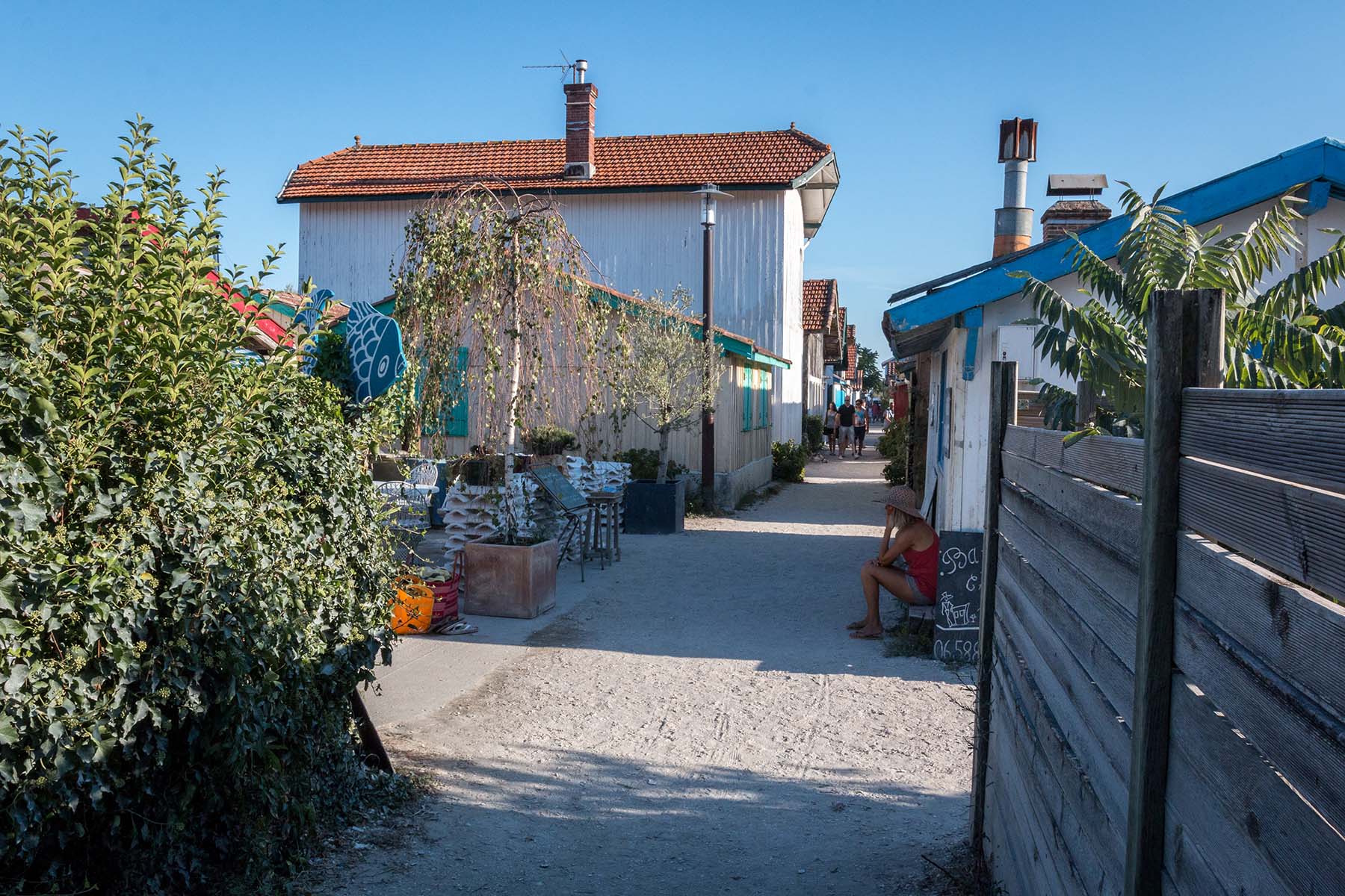 Chemin dans le quartier ostréicole du Canon