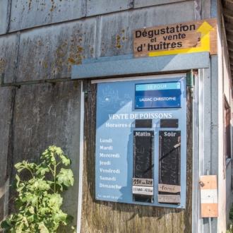 Dégustation et vente d'huitres au Cap Ferret